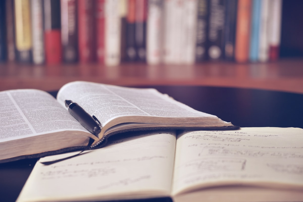 A young learner deep in a book, illustrative of the focus Navigators bring to their interests.